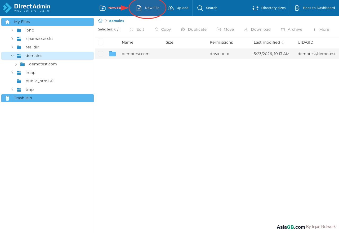 Click Upload or New File (circled) to manage your files