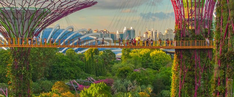 Migrating from Thailand Hosting to Singapore Hosting: When and How to Move